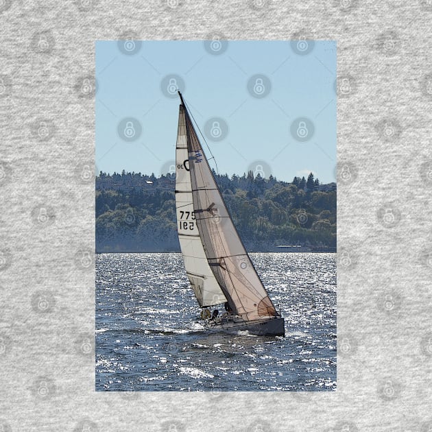 Sailboat on the Sound by elisewied